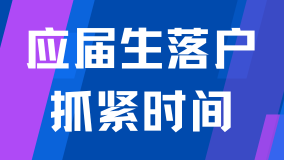 2025年應屆生落戶僅剩半個月！抓緊時間申報！沒有勞動合同也可以申請！