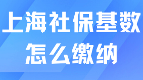 2025年上海居轉戶落戶社保基數要求：1倍、2倍、3倍需要交多少？